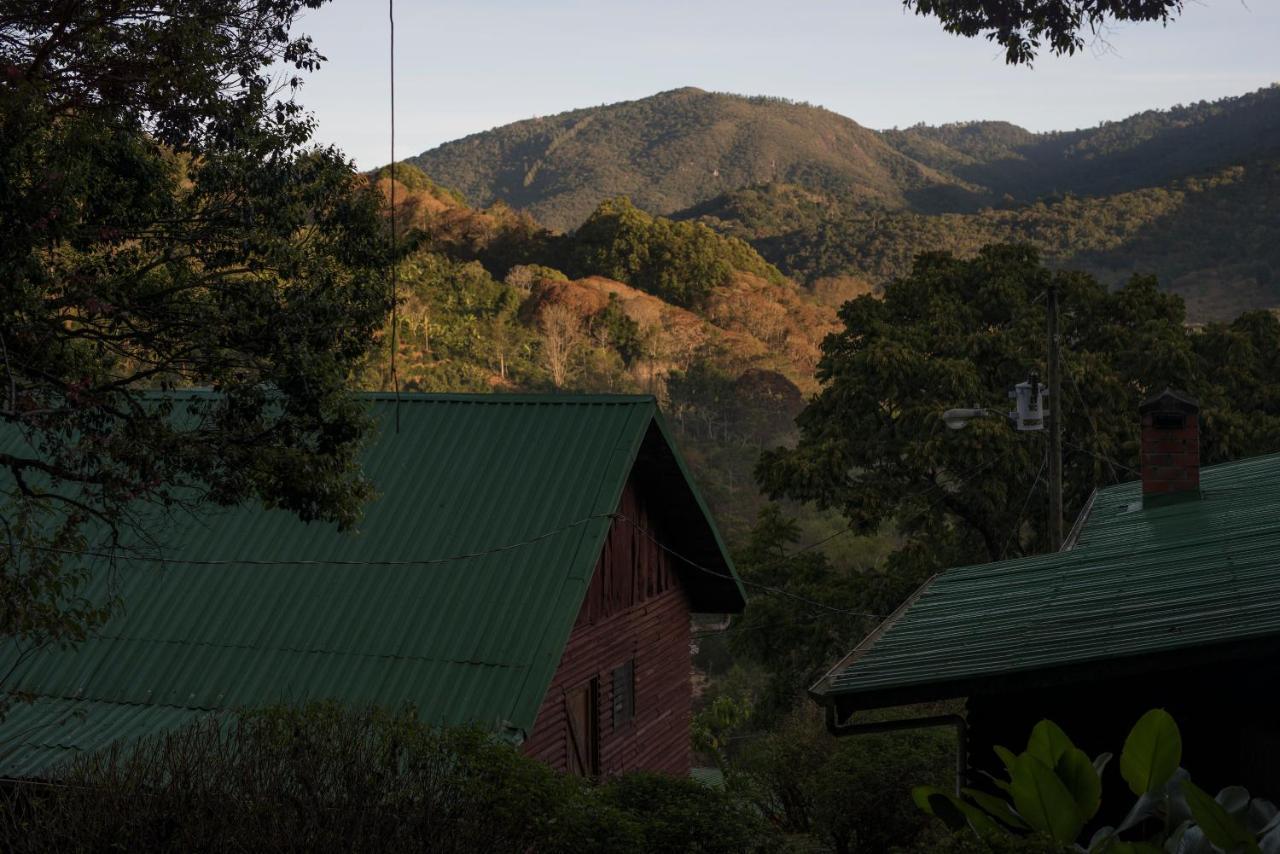 Cedrela Eco-Lodge & Restaurante Copey Kültér fotó