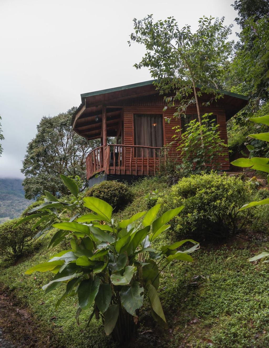 Cedrela Eco-Lodge & Restaurante Copey Kültér fotó