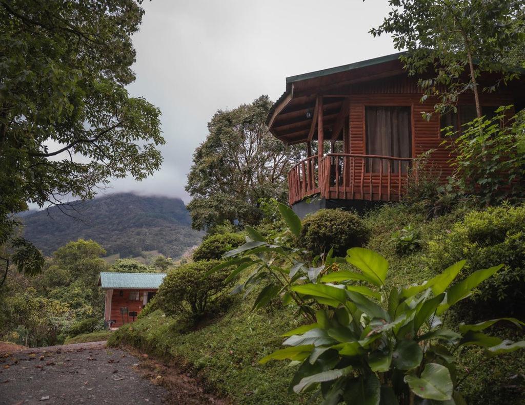 Cedrela Eco-Lodge & Restaurante Copey Kültér fotó