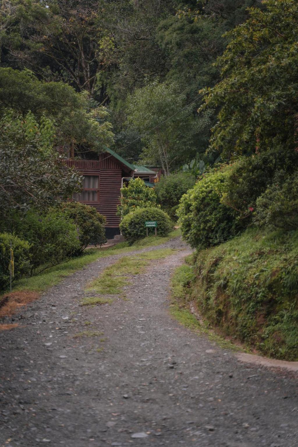 Cedrela Eco-Lodge & Restaurante Copey Kültér fotó